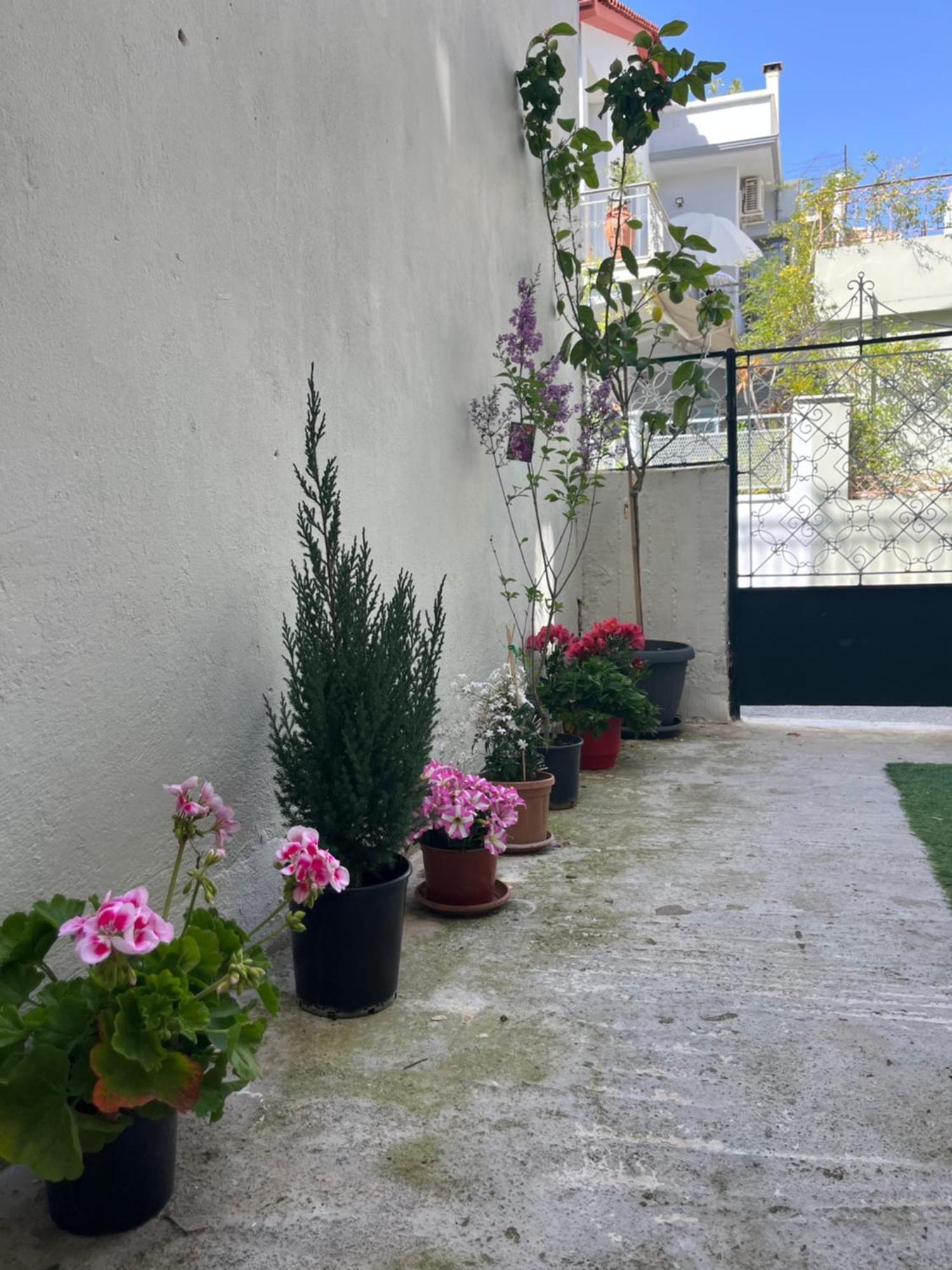 Noa - Designed Garden Studio In The City Center Kalamata Extérieur photo